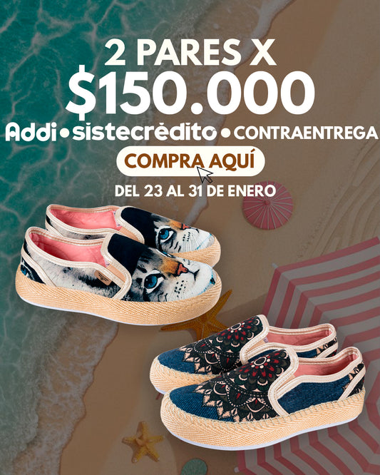 PACK GATO BOINA X BUDY