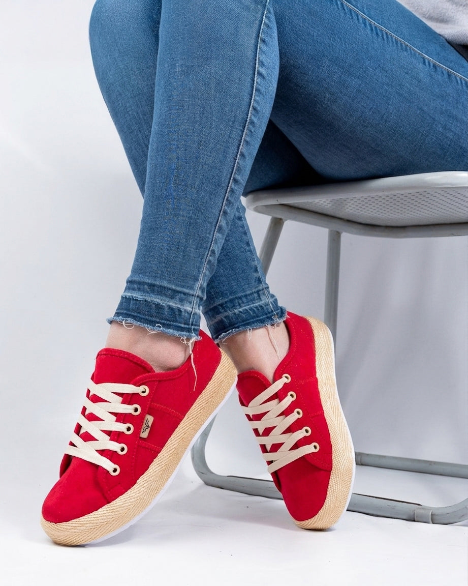 8040 LINCE ROJO Y-A