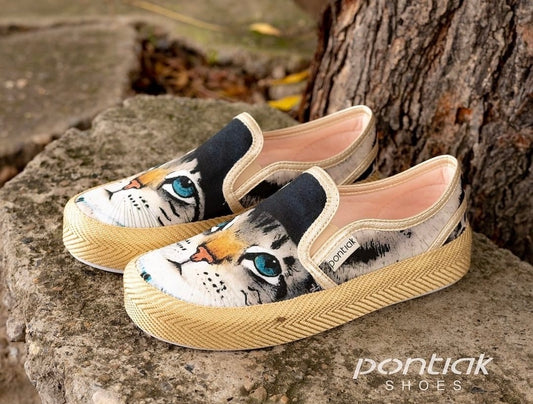 8038 Gato Boina